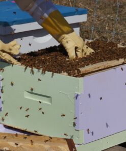Hive Maintenance & Management
