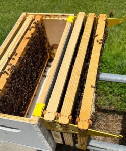 Beehive Frame Inspection Bracket – Boost Efficiency & Stability