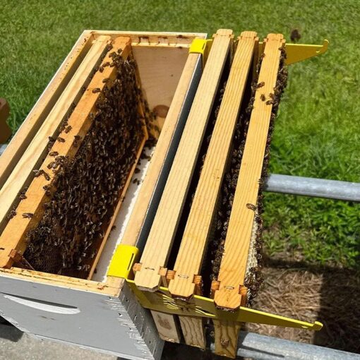 Beehive Frame Inspection Bracket – Boost Efficiency & Stability